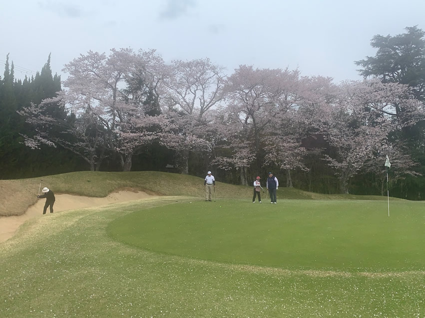 <h2>2019 Vietnam, Hong Kong & Japan Golf Cruise</h2>16 Nights | 4 Rounds | Singapore – Tokyo | March 29 – April 14